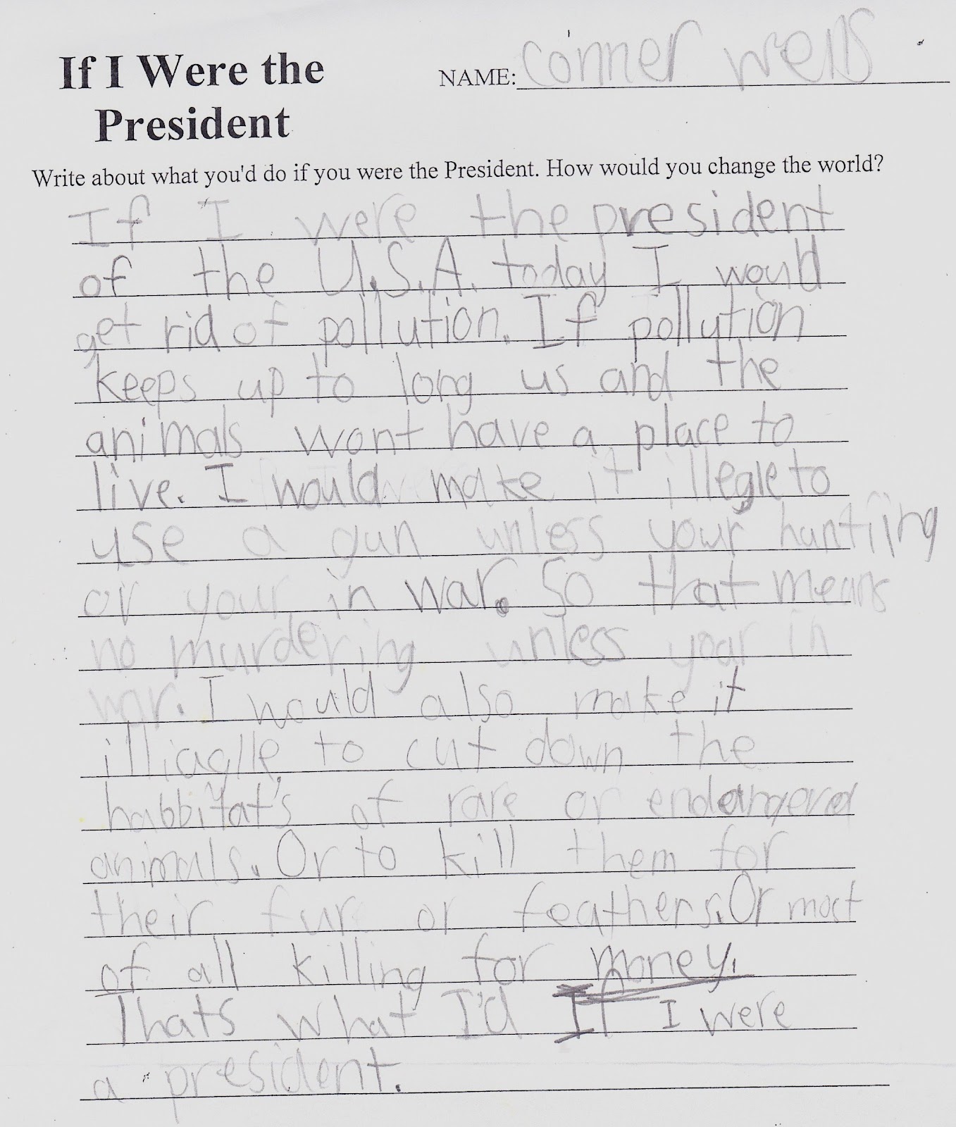 if i were the president essay